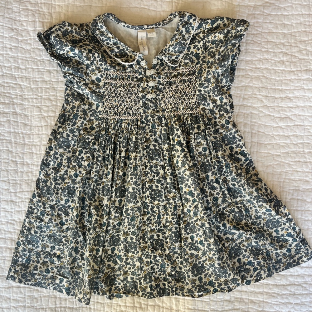 Little Cotton Clothes Blue Floral Girls Dress